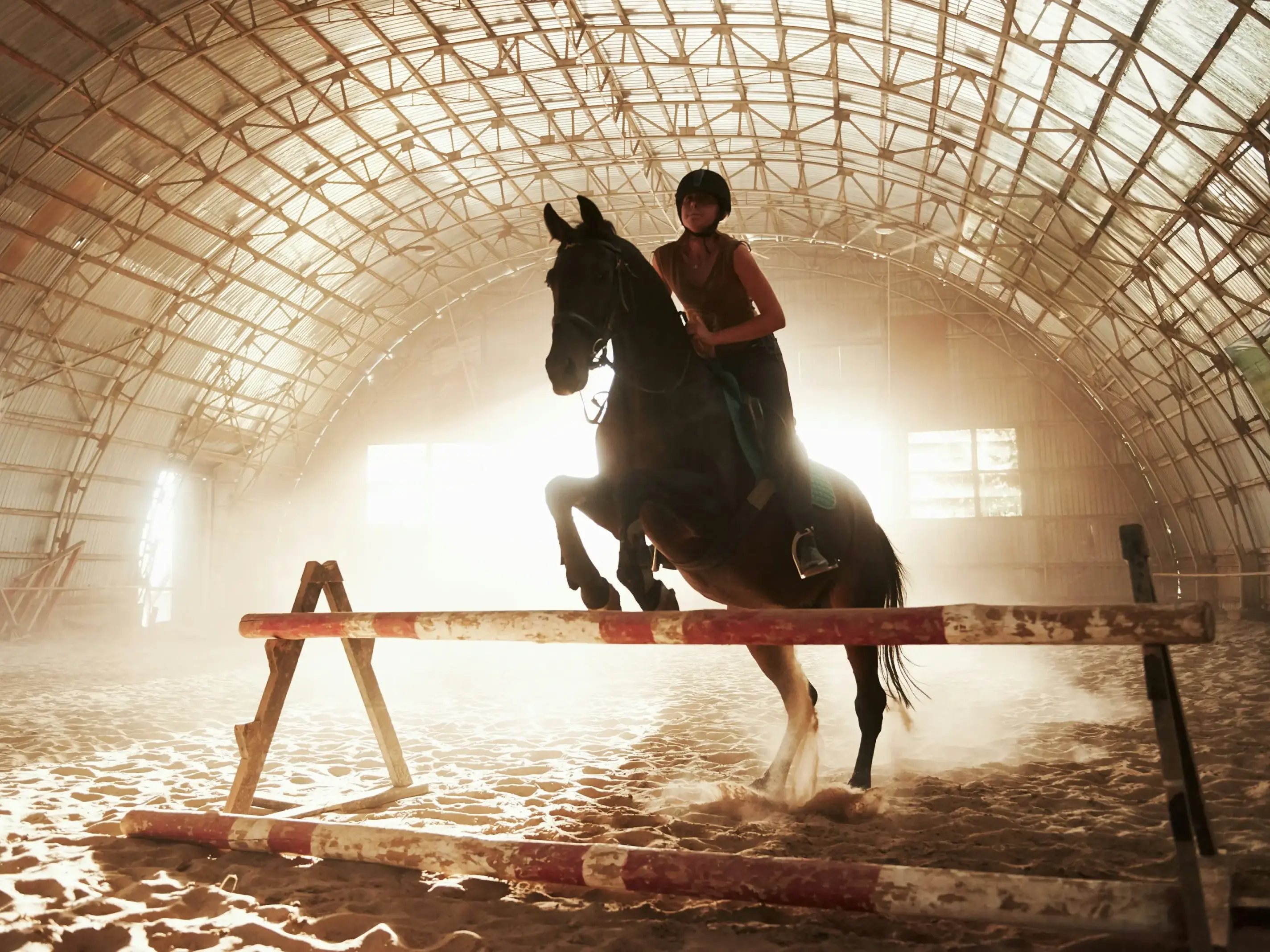 Equestrian Stockholm